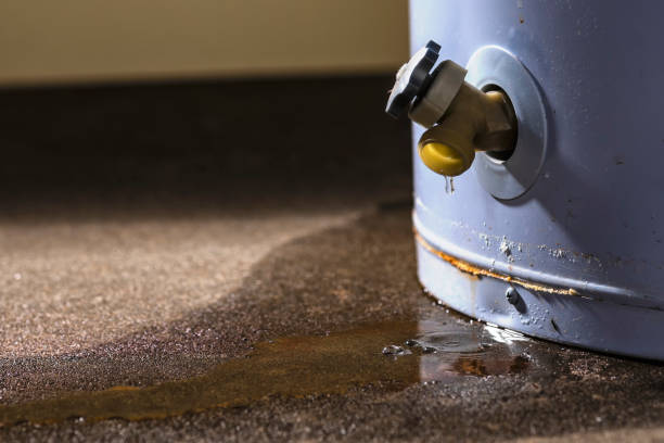 Trusted Buckingham, FL Water damage restoration Experts