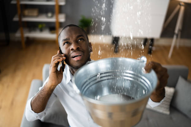 Best Residential water damage restoration  in Buckingham, FL