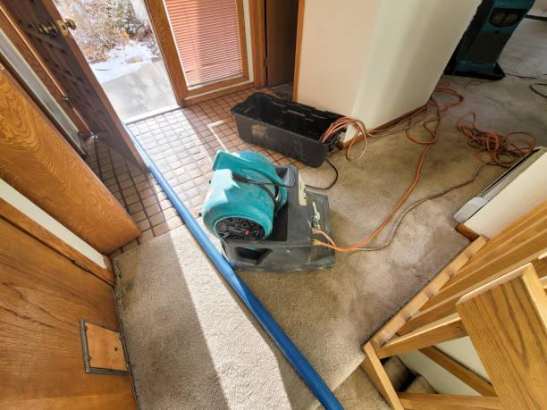 Best Carpet water damage restoration  in Buckingham, FL