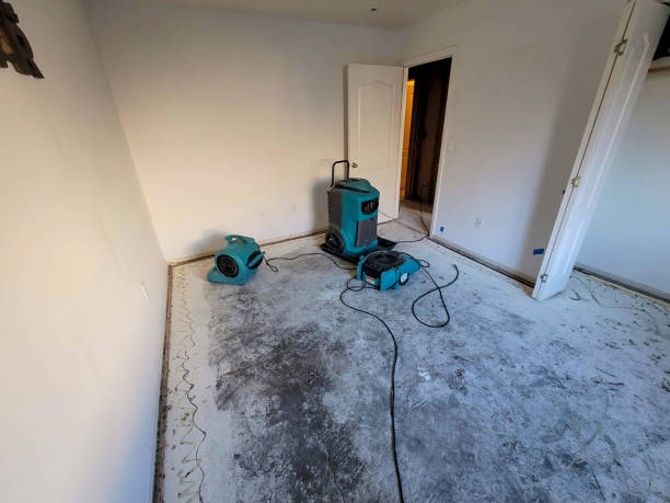 Best Water damage restoration specialists  in Buckingham, FL