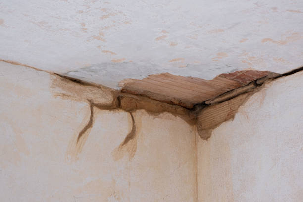 Best Water damage cleanup near me  in Buckingham, FL