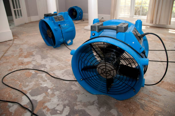 Best 24-hour water damage restoration  in Buckingham, FL