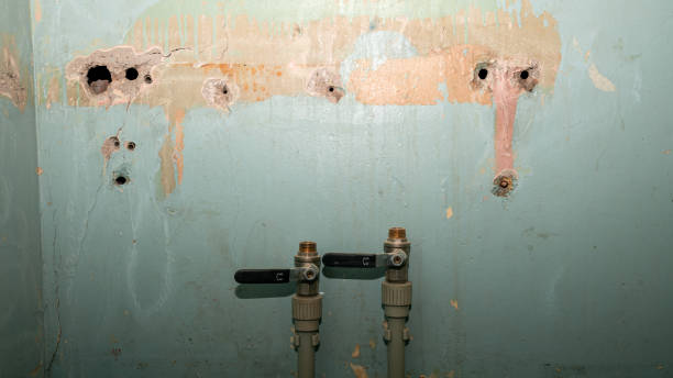 Best Water damage restoration near me  in Buckingham, FL
